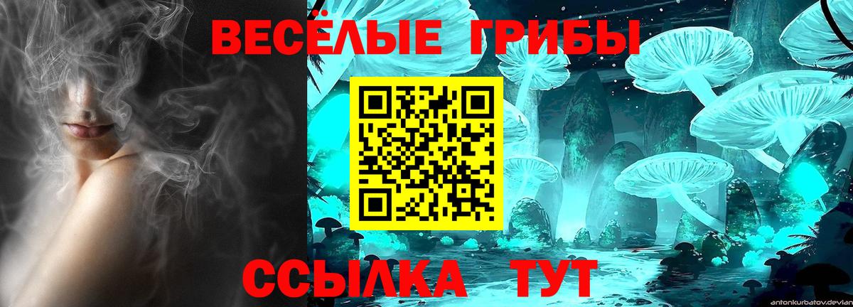Сочи  Галлюциногенные грибы мицелий  Вход с VPN 