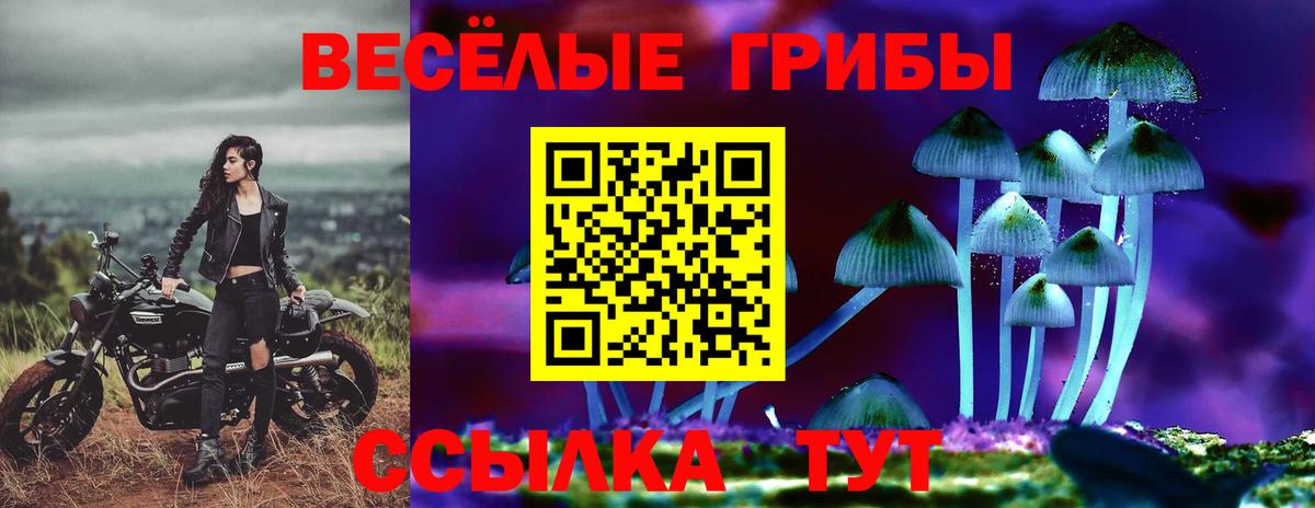 Галлюциногенные грибы мухоморы Сочи